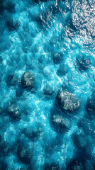 Wall Mural - Photo of Sunlit Aqua Blue Ocean Water with Submerged Rocks