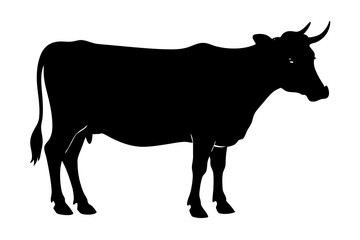 Sticker - cow silhouette, cow vector illustration, bull, cow icon	
