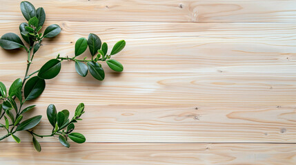 Wall Mural - Natural wood texture with a top view of a light wooden color, featuring an abstract background