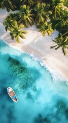 Wall Mural - Aerial View of a Small Boat in Crystal Clear Tropical Waters