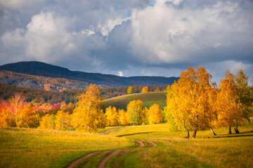 Yellow autumn trees in the mountains at sunset. Beautiful autumn landscape