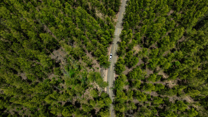 Aerial view of dark green forest road and white electric car Natural landscape and elevated roads Adventure travel and transportation and environmental protection concept