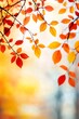 © MaxStock - Vibrant autumn leaves on branches with soft bokeh background in warm tones