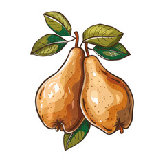 Two ripe pears with leaves, illustrated in a cartoon style on a white background.