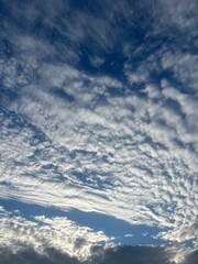 Wall Mural - Natural sky background, fantastic cloudscape, blue sky and many small white clouds, heavens