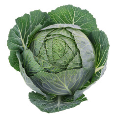 Fresh green cabbage surrounded by vibrant, crisp leaves against a plain transparent background showcasing its natural beauty