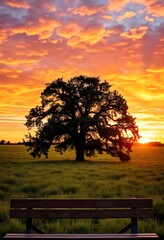 Wall Mural - Solitary tree standing tall in a vast green field, with a vibrant sunset in the background.