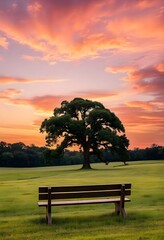 Wall Mural - Solitary tree standing tall in a vast green field, with a vibrant sunset in the background.