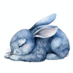 Poster - Rabbit Sleeping rabbit illustrated drawing.