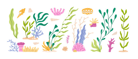 Poster - Seaweeds and algae, underwater plants set. Ocean flora, marine corals, undersea water grass, leaf branches. Floral botanical tropical elements. Flat vector illustration isolated on white background