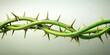 © Triple P - Twisted vine with green thorns representing envy and pain