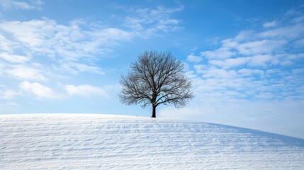 Poster - Single tree on lush hill with dramatic clouds in the background and room for text
