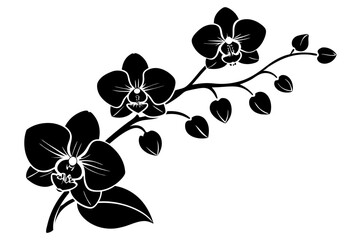 Wall Mural - An orchid branch with flowers, unopened buds, and a stem vector art silhouette illuatration