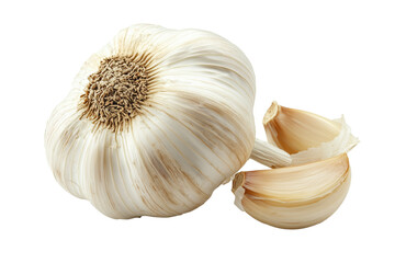 A close-up of fresh, organic garlic bulbs with dry roots and natural white papery skin. 