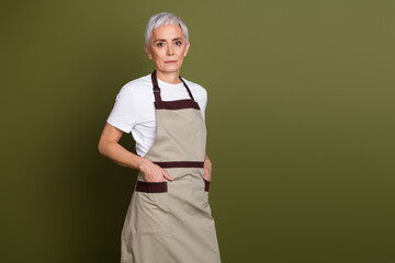 Sticker - Photo of serious attractive lady dressed apron preparing drinks empty space isolated green color background