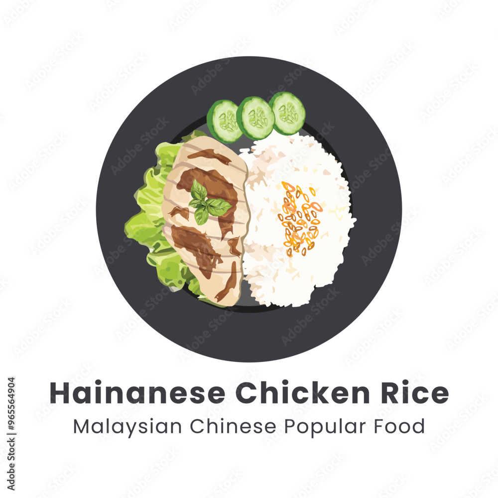 Hand drawn vector illustration of Hainanese Chicken Rice or Rice ...