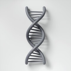 A 3D representation of a DNA double helix in gray, showcasing the iconic twisted ladder structure associated with genetic information