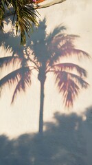 Wall Mural - Palm Tree Shadow Cast on a White Wall