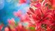 A vibrant close-up of pink lilies against a soft, colorful background.