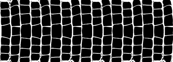 crocodile animal skin pattern of dinosaur and snake reptile leather, vector background. abstract bla