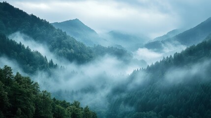 Wall Mural - Misty Mountain Landscape