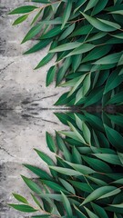 Top view of green eucalyptus leaves on concrete surface with copy space