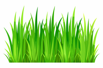 Wall Mural - Green grass field on small hills with blue sky