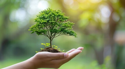 Poster - Finance and investment for sustainability depicted by a tree in a hand