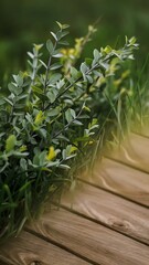 Poster - Green leaves on twigs, sward and wooden planks with green blurry background