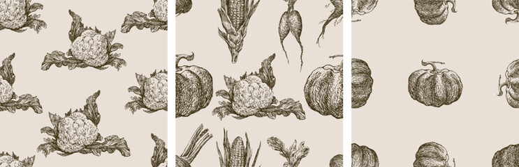 Seamless patterns of sketches various ripe vegetables, cauliflower, pumpkin, corn, beet, radish, vector hand drawn backgrounds, wallpaper, paper, textile