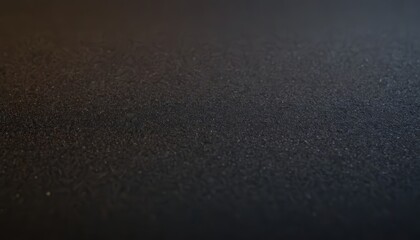 A close-up shot of a dark textured surface, featuring a grainy, textured background.