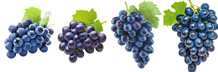 On a transparent background, a bunch of dark blue grapes can be seen