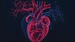 © Mr image - 2. 'Hologram of the human heart with detailed chambers and major arteries