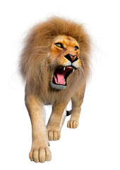 Wall Mural - 3D Rendering Male Lion on White