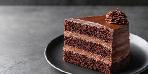 Canvas Print - Chocolate cake slice on a plate with layers of cake and rich filling