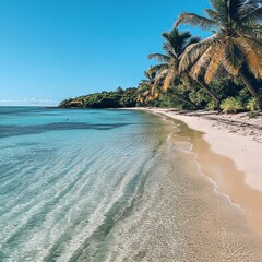 Wall Mural - A pristine, white-sand beach stretches along clear turquoise water, with lush palm trees providing shade.