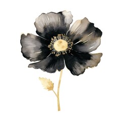 Sticker - Black color poppy flower nature petal.