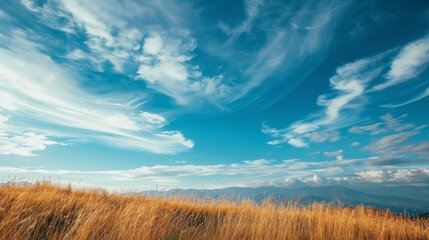 Wall Mural - A sweeping view of a grassland on the mountaintop, with wispy clouds adding a gentle touch to the expansive sky above.