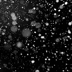 Canvas Print - Falling snow on a dark night