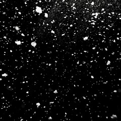 Wall Mural - Snow falling on black background