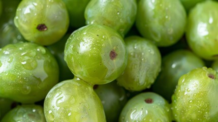 Poster - Green grapes piled together, with a focus on their translucent skin and juicy appearance
