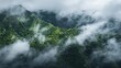 © venusvi - Foggy clouds enveloping the green mountain peaks
