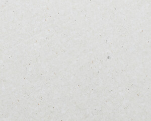 White recycle paper cardboard surface texture background