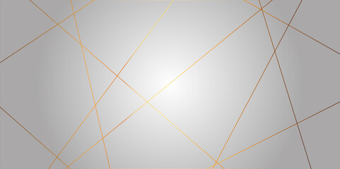 Poster - Abstract colorful line luxury background template. geometric pattern squares and triangle shape. geometric random chaotic lines background. colorful outline monochrome texture vector illustration.