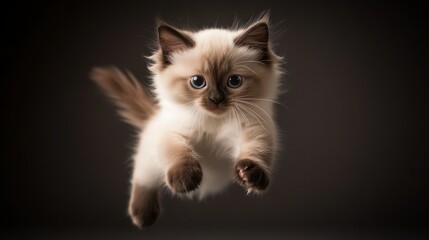 Wall Mural - A playful kitten leaps into the air, showcasing its agility and charm.