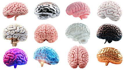 PNG 3d human brain element set, transparent background