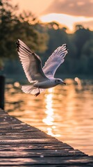 Poster - Seagull flying over lake at sunset near wooden pier