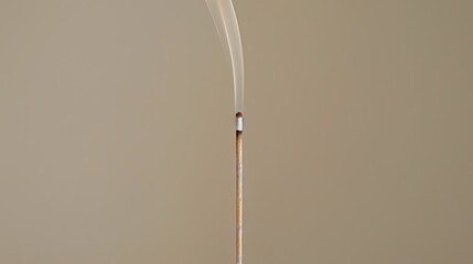 Wall Mural - a stick of incense burning, with smoke rising from the tip