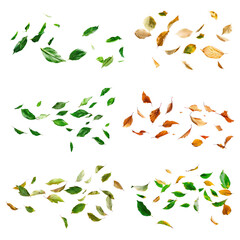 Wall Mural - PNG floating leaves element set, transparent background