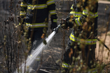 Details with the hands of a fiirefighter using a pressure water hose to extinguish a wildire.